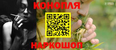 индика Пугачёв