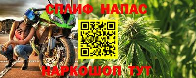 индика Пугачёв