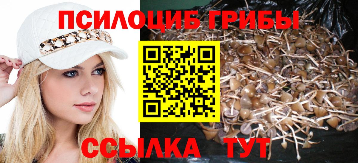 Галлюциногенные грибы MAGIC MUSHROOMS Старая Купавна