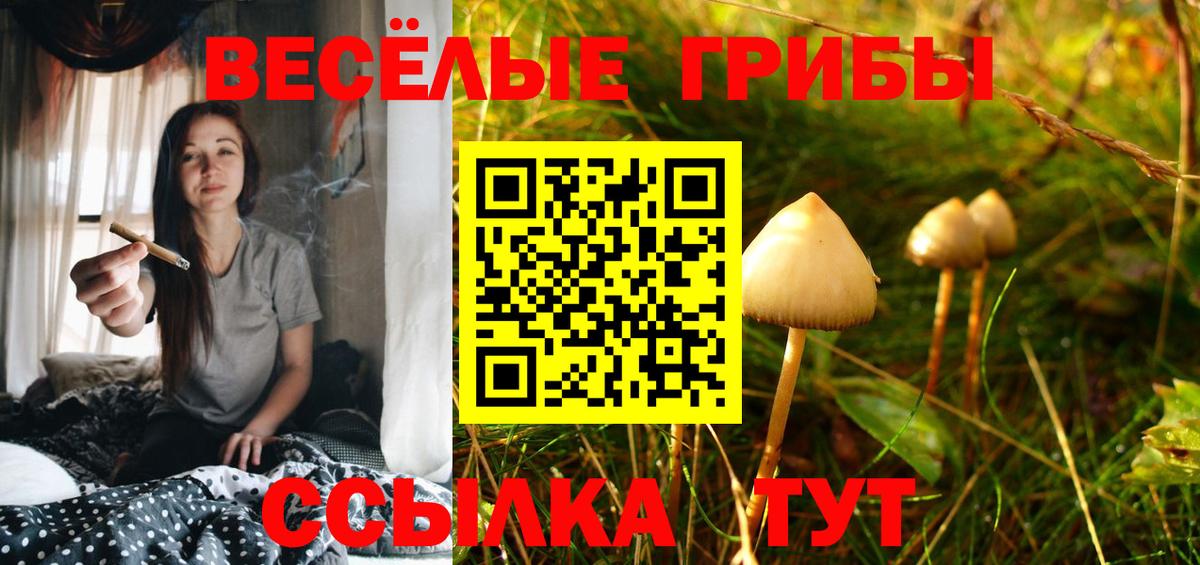 Старая Купавна  наркотики  Вход с VPN  Галлюциногенные грибы прущие грибы 